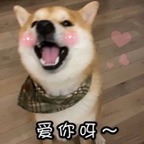 爱大米