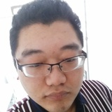 树林中的熊