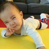 金小鱼