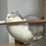 anbianlubanabc