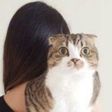 前面一个老尼姑