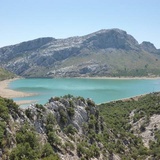 Alessia
