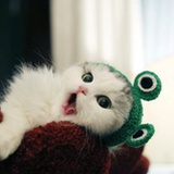 hellowummy