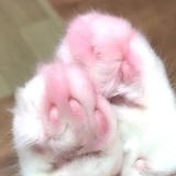 Siki