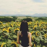 katherine