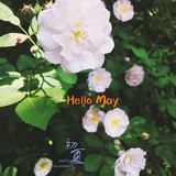 May