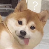 追追追风