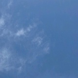 和小胖