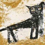 狸和猫