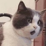 梦某人