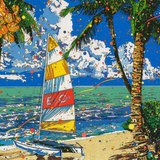 海盐百香金凤梨