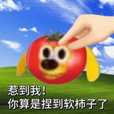 fififi非常美丽