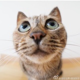 小憨