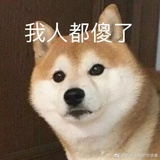 木头的世界