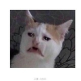 桑榆