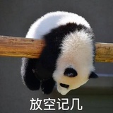 冯小咪