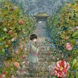 一叶归西_novel