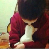 不想