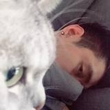好多猫不缺猫猫