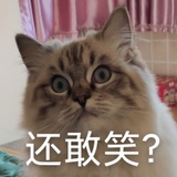 期待你领悟丶