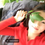 V690329067