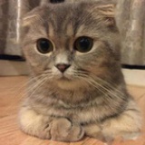 。