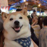 骝了骝了