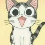 小Q～