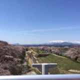 冬日暖阳