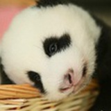 拥抱太阳