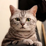 恩……让我再想想