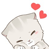 不会当猫的喵