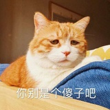 王悦欣