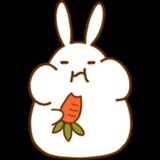 程序媛