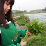 长沙菜篮子网