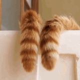 沧桐