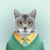 小花猫