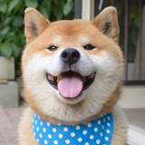 等等等等等