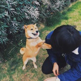 ?henryguo?