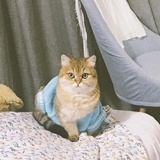 金角大王