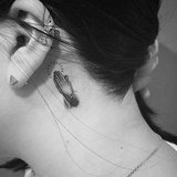 dr.她