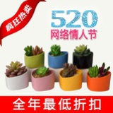 多肉花盆批发