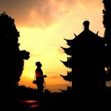 飞虎