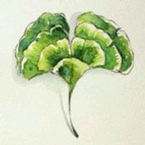 洲小树