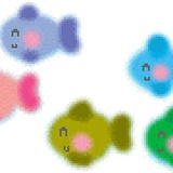 渔畔fish