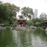 忘记旧时光