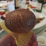 蘑菇