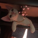 六六七七