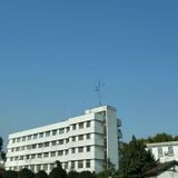 青青河畔草0714_