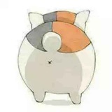 张生